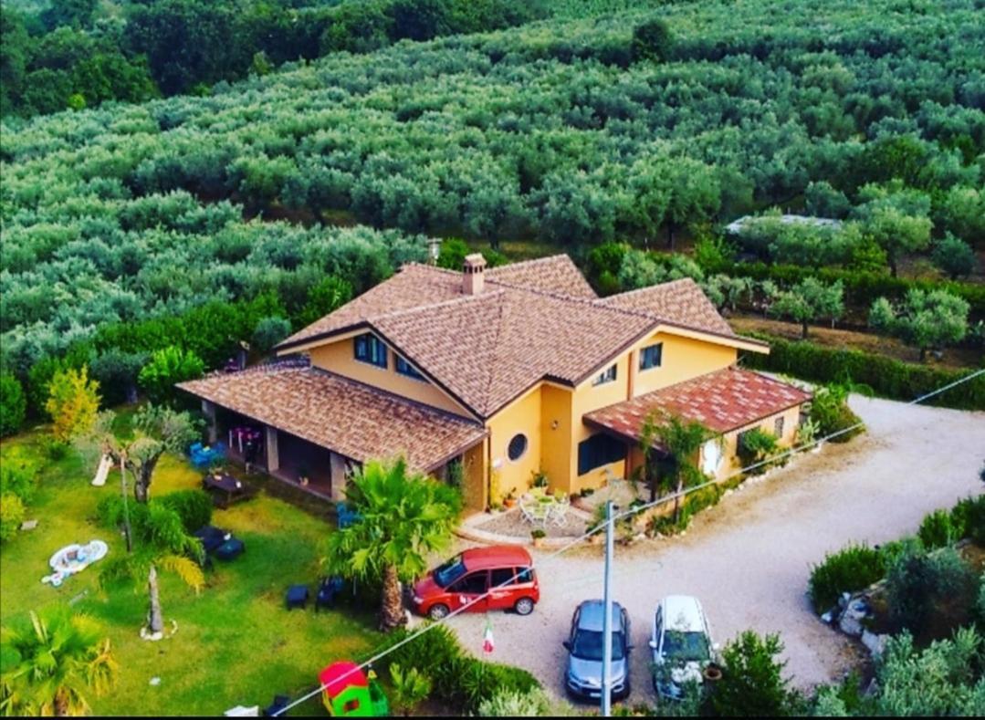 Molinari Restaurant E Baby Park *