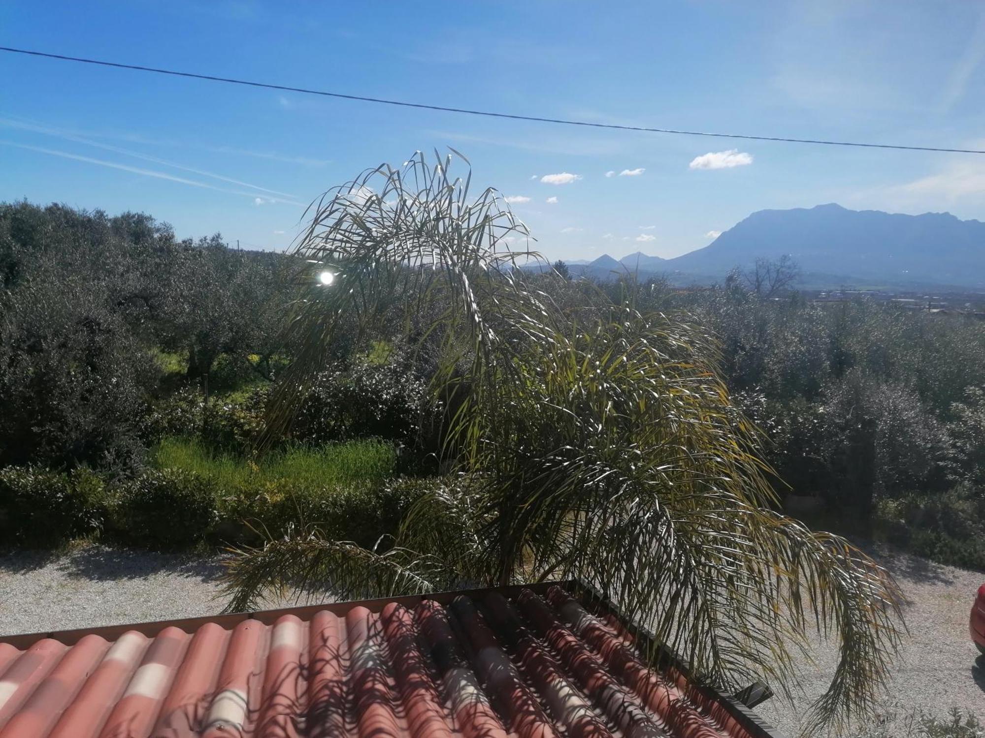Bed & Breakfast Molinari Restaurant E Baby Park Campagna