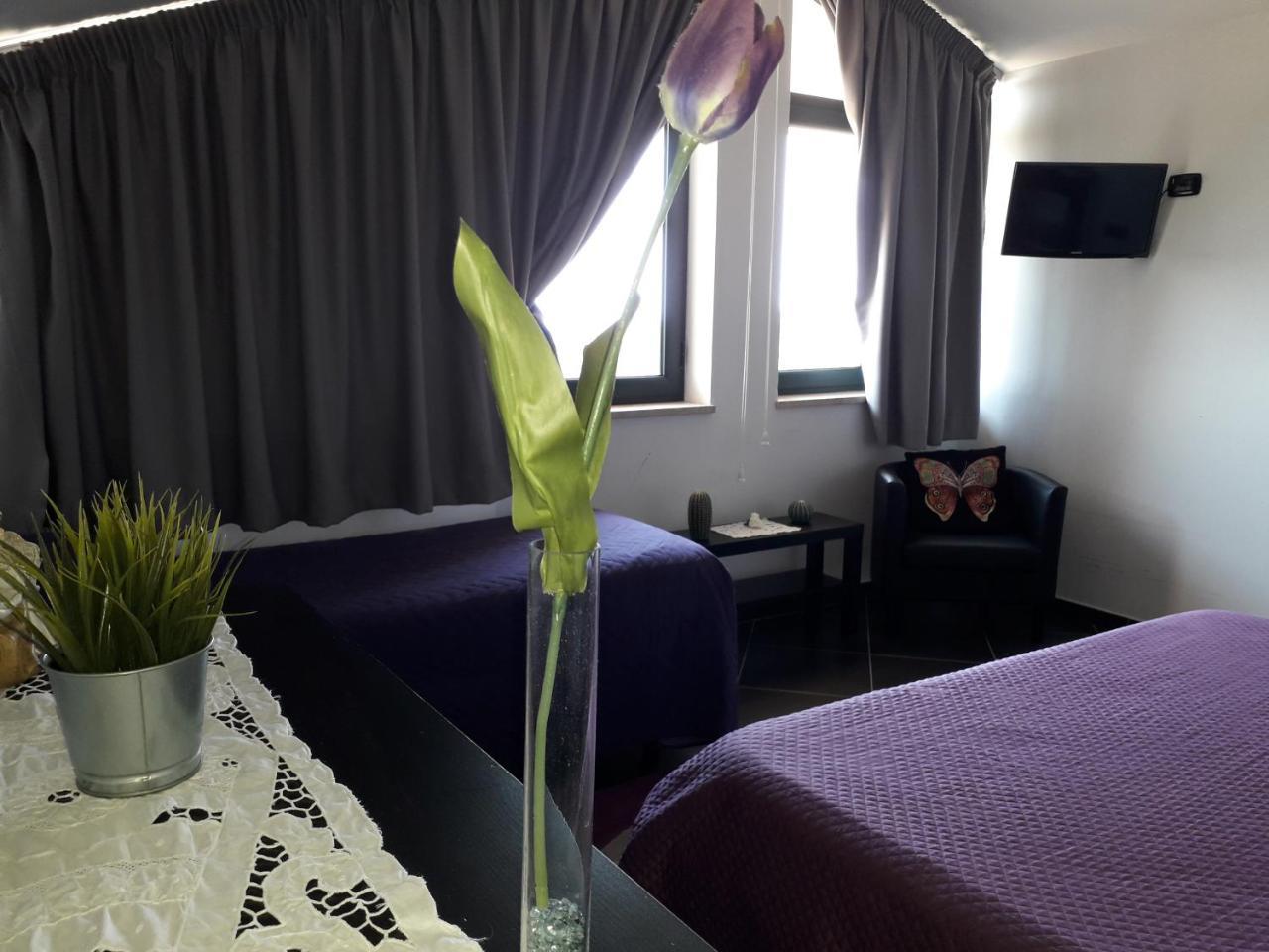 Molinari Restaurant E Baby Park Bed & Breakfast Campagna